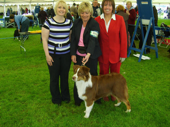 ROBBIE WITH MORAG GLYNIS & JUDGE JAYNE HOLLAGAN SKC CH MAY 2008
