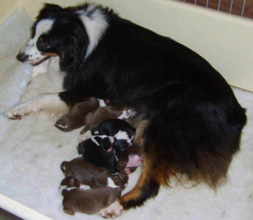 CARLEY WITH HER BABIES
