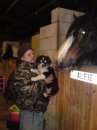 LITTLE ALFIE MEETING BIG ALFIE THE HORSE
