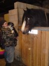 ALFIE THE PUP MEETING ALFIE THE HORSE