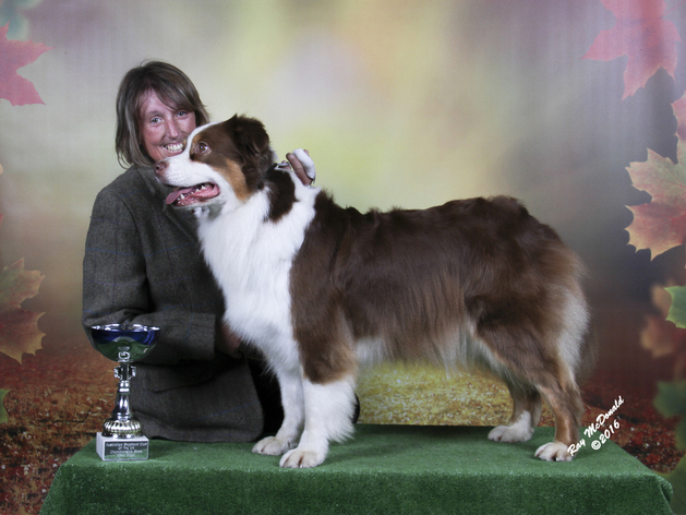 SCARLETTE & ME AFTERWINNING OPEN BITCH ASCUK CH SHOW 2016