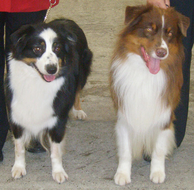 CARLEY & DERBY