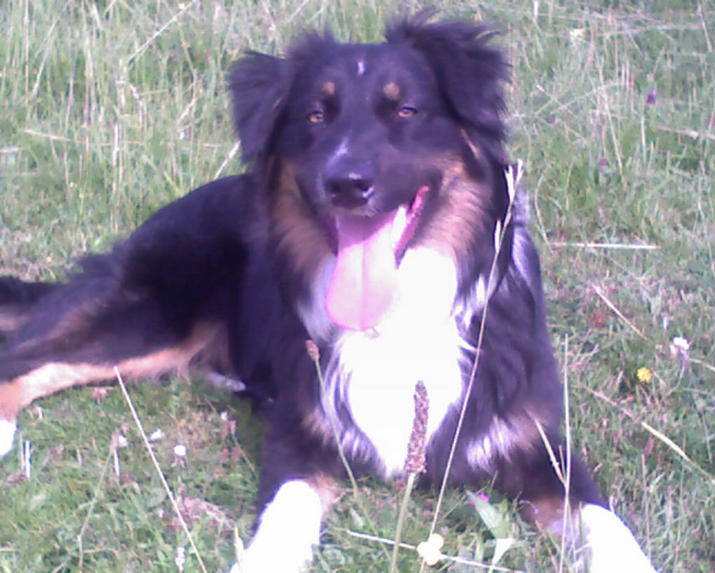 ANOTHER PIC OF CHALI