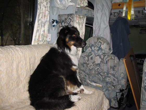 CHALI IN THE CAMPER VAN RELAXING