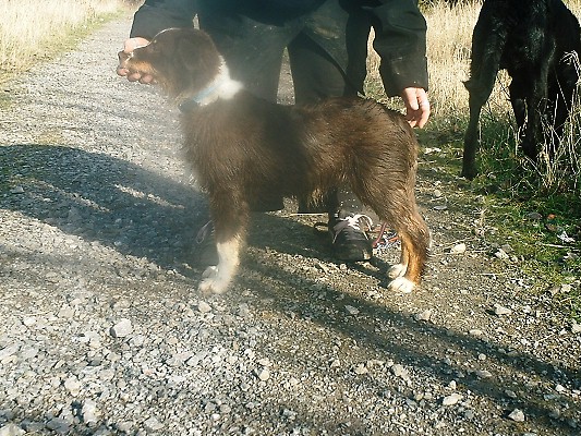 ZENIE LEARNING TO STAND