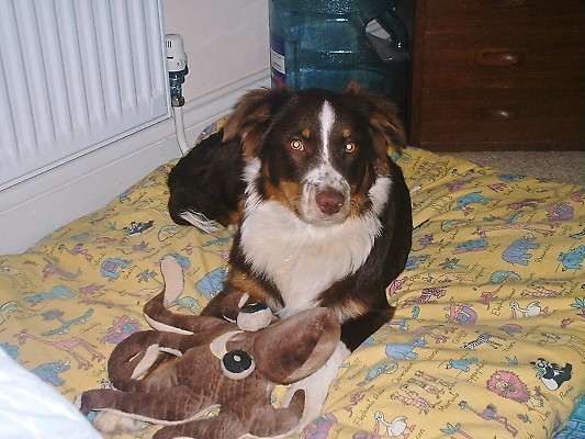 ZENIE PLAYING WITH HER TOY