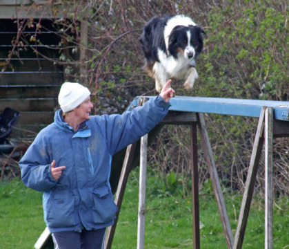 OZZYPOOL MAZALA "GEORGE" ON THE CAT WALK
