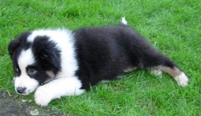 KIAH IN THE GARDEN