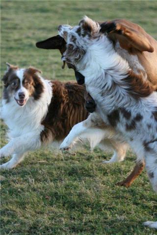 MEG HAVING FUN