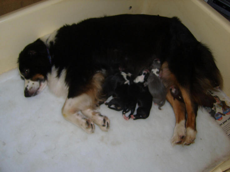 CARLEY & HER BABIES
