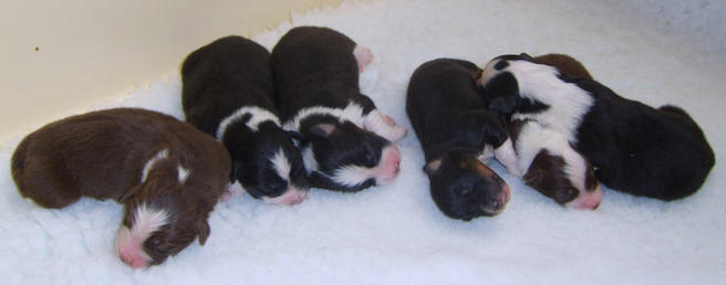 3 BOYS 3 GIRLS