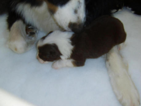LITTLE RED TRI GIRL CUDDLING UP TOO MUM