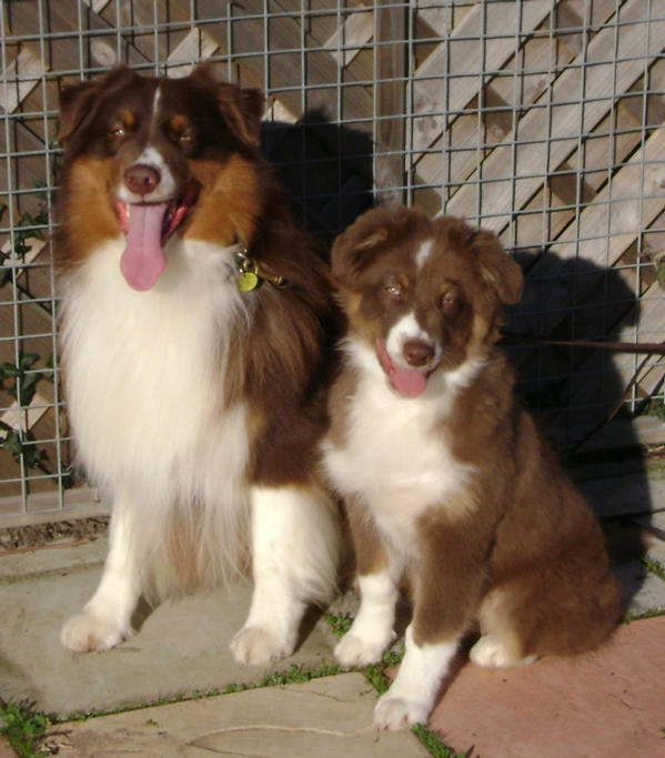 DERBY WITH HIS SON DOLLAR