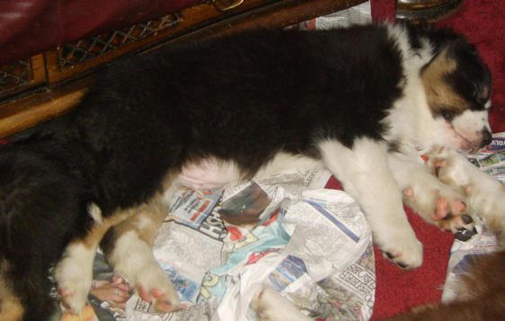 JACOB SLEEPING