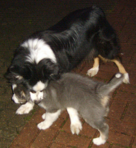 MISTY WITH HER MUM CARLEY