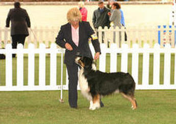Ozzypool Black Opal aka Echo with owner handler Morag Fletcher