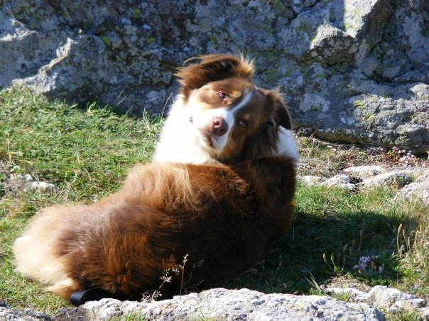 HARVEY ON HOLIDAY