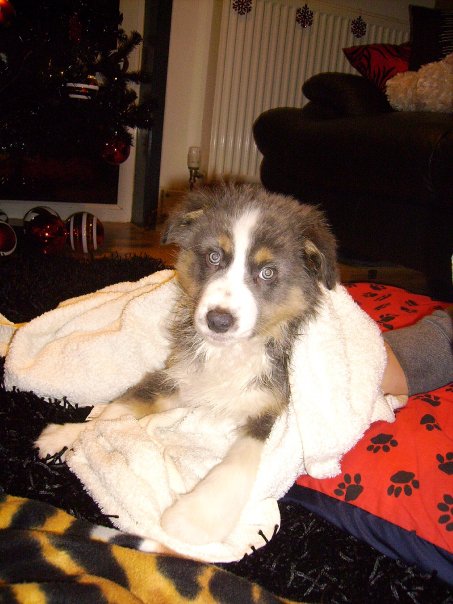 MISTY DRYING OFF AFTER HER BATH