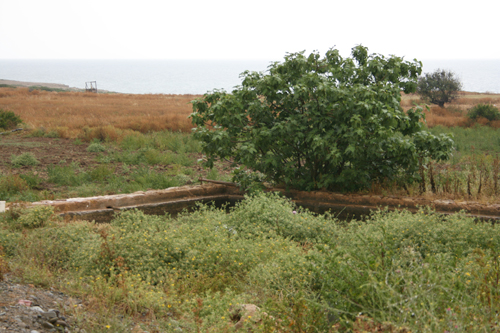 Sadrazamkoy