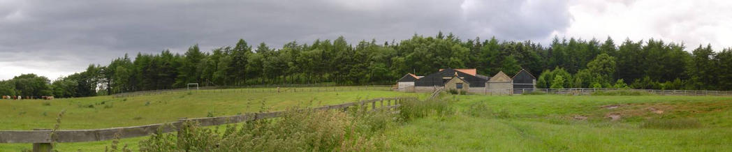 Arrival at site