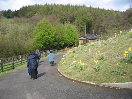Walking downhill
