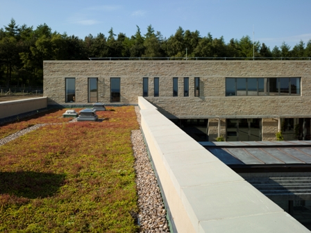 West side sedum roof