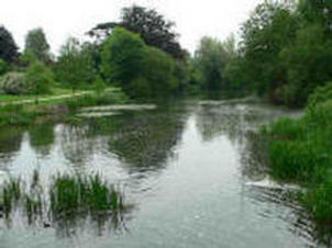 Tranquility