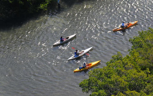 Kayaking in the Robinson Preserve