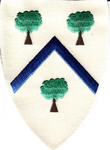 A blue chevron represents the Severn and the Wye rivers as they pass through the trees of the Forest, joining at Chepstow.