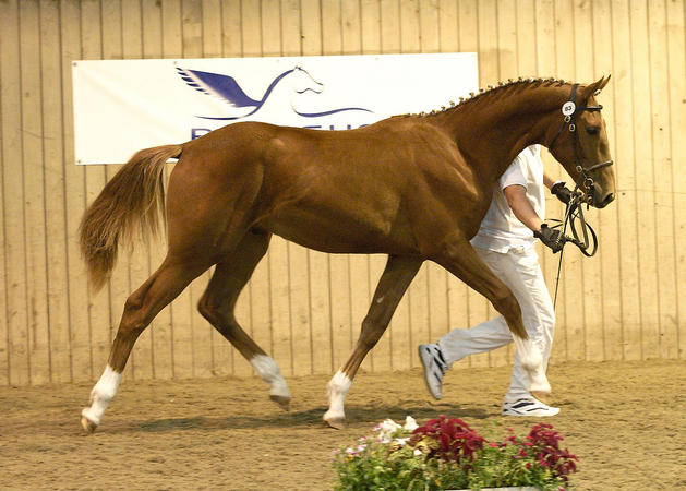 Springs Spirit September 2010