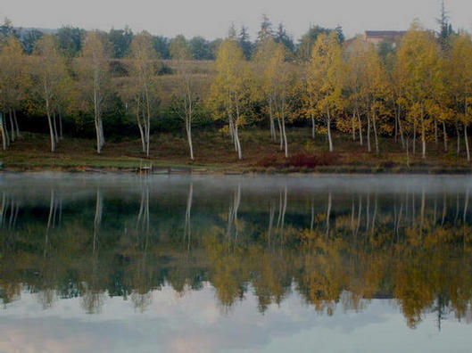 Morning Lake