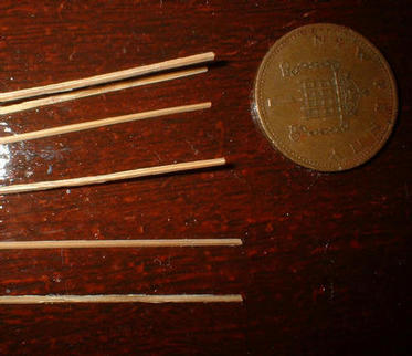 Tapered bamboo spines with coctail stick for comparison