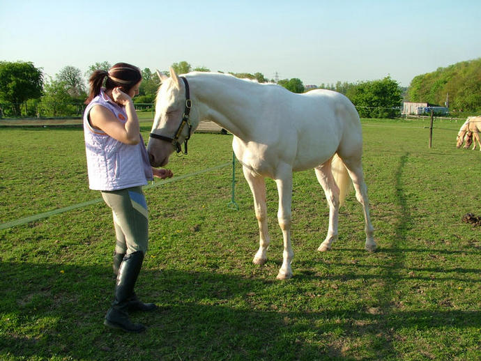 Electrum 22nd April 2009 just before his 2nd Birthday