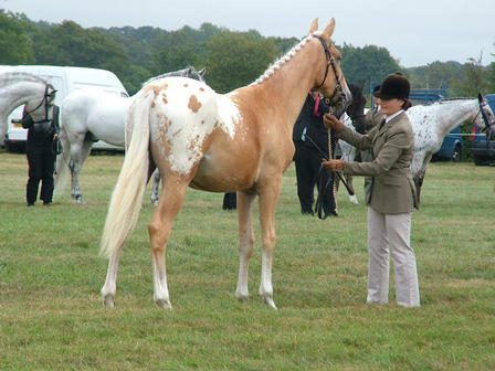 Bassy 2nd Edenbridge 2009