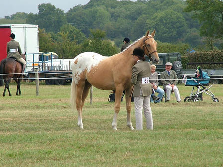 Bassy 2nd Edenbridge 2009