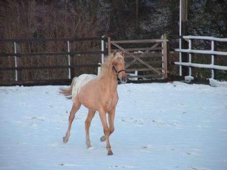 Bassy Dec 2009