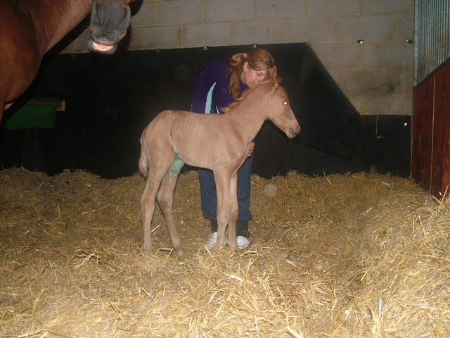 Laura and Goldie