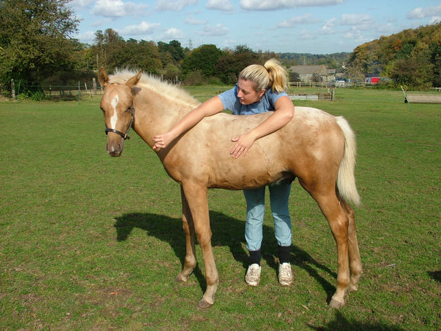 Laura and Goldie