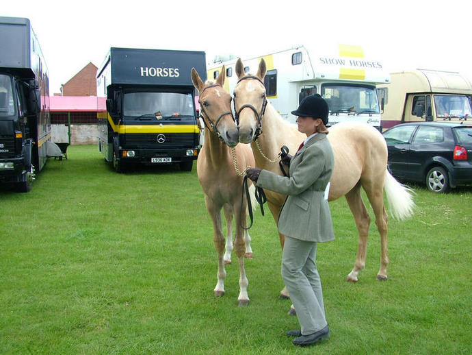 Crinkle East of England June 2009