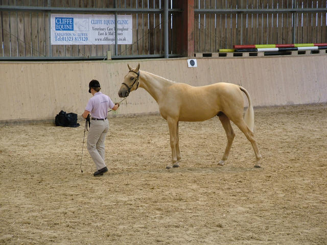 Futurity 2009