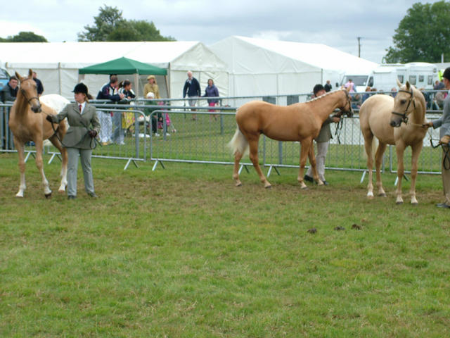 Goldie at Kent County 2009