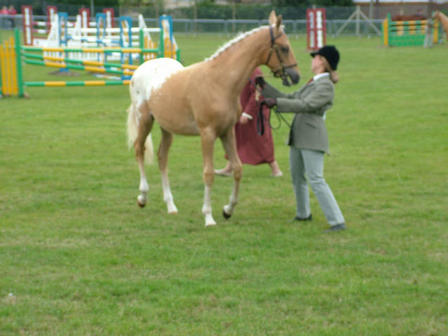 Bassy at Kent County July 2009