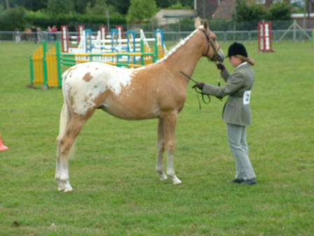 Bassy at Kent County July 2009