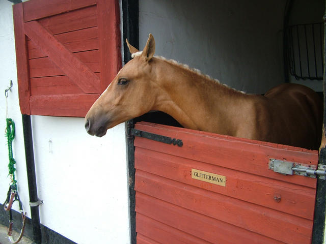 Goldie July 2009