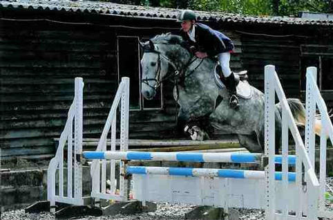 Uluhan 3rd May 2010 First show at Felbridge, 6th double clear British Novice