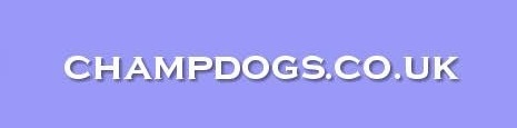 https://www.champdogs.co.uk/breeds/flat-coated-retriever