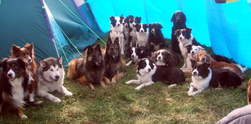 Waldridge Fell 2007