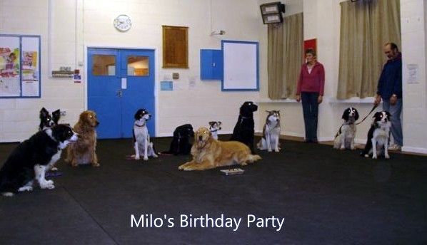 Milos Party