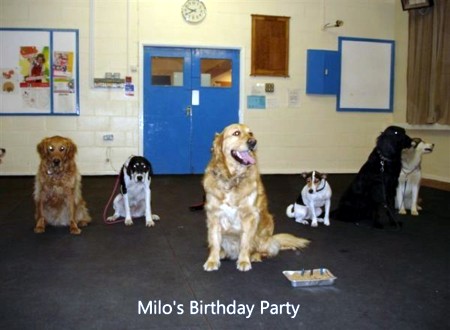 Milos Party