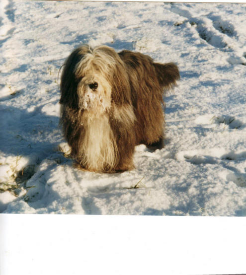 Sunkap Sylva (Sally) 1991 - 2006